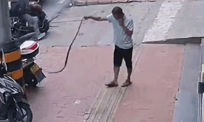 Video-Hot - Video: Rùng mình cảnh người đàn ông tay không thản nhiên vừa bắt rắn vừa gọi điện thoại