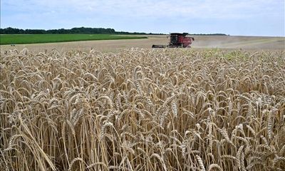 Ukraine tuyên bố kiện 3 nước EU về các lệnh cấm nhập khẩu nông sản