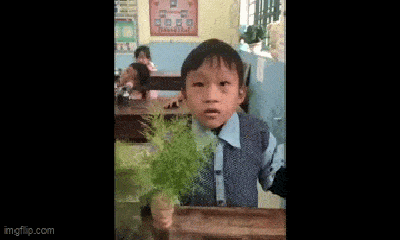 Xúc động bó hoa rừng tri ân thầy cô ngày Nhà giáo Việt Nam của học sinh vùng cao