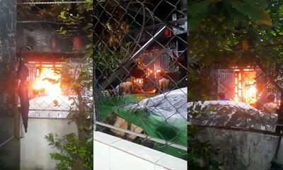 TP.HCM: Cháy nhà lúc rạng sáng, 1 người chết, 3 người thoát nạn 