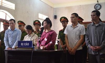 Nóng: Hủy án sơ thẩm vụ mẹ nữ sinh giao gà ở Điện Biên