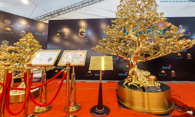 Cận cảnh cây mai mạ vàng 24K được định giá gần 6 tỷ đồng ở Hà Nội 