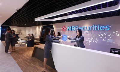 Chứng khoán MB (MBS) của ông Lê Viết Hải: Lãi ròng sụt giảm, nắm giữ hàng trăm tỷ trái phiếu từ “khách hàng lớn”