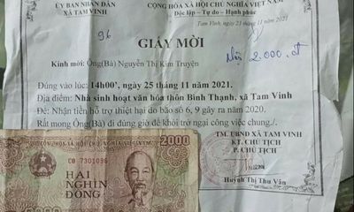 Quảng Nam: Hộ dân thiệt hại 1 cây chuối do bão, nhận hỗ trợ 2 nghìn đồng