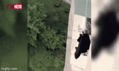 Video: Ngỡ ngàng cảnh cua nhặt chiếc áo rơi dưới tầng chung cư 