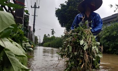 Tin tức thời sự mới nóng nhất 5/4: Mưa lũ trái mùa gây thiệt hại cho Thừa Thiên - Huế gần 1.000 tỷ đồng