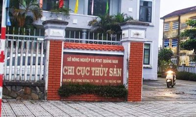 Quảng Nam: Nguyên chi cục trưởng Chi cục Thủy sản bị khởi tố 
