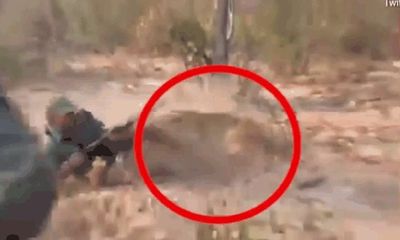 Video-Hot - Video: Nhóm 10 người chĩa súng, hạ gục sư tử gây phẫn nộ