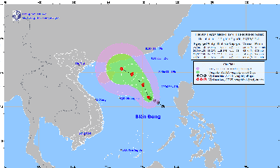 Áp thấp nhiệt đới dự báo thành bão số 1 trên Biển Đông