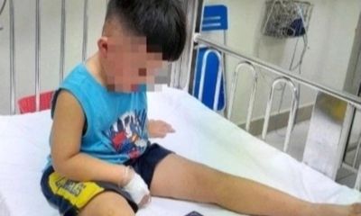 Vụ bé 3 tuổi bị siết cổ, giấu vào tủ cấp đông: Nghẹt thở hành trình cả gia đình giải cứu 