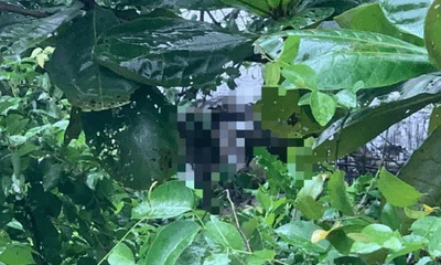 Tin trong nước - Thi thể nữ sinh 16 tuổi tìm thấy dưới sông sau 4 ngày mất tích