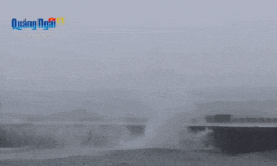 Tin bão Noru mới nhất: Huyện đảo Lý Sơn có gió giật cấp 11, biển động dữ dội