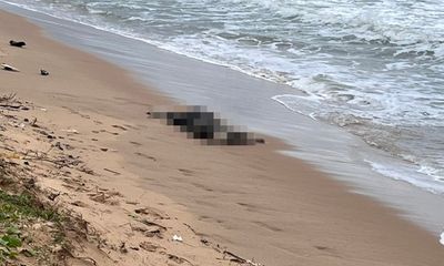 Tin trong nước - Tin thời sự mới nóng nhất 30/9: Phát hiện nhiều thi thể trôi dạt vào bờ biển Phú Quốc
