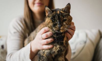 Cộng đồng mạng - Con mèo sống lâu nhất thế giới đạt kỷ lục Guinness