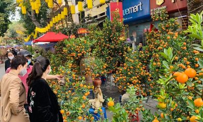 Hà Nội: Những tuyến đường nào bị cấm để phục vụ chợ hoa Tết Quý Mão 2023?