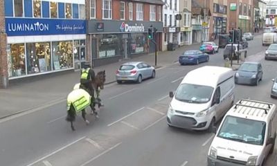 Video: Cảnh sát Anh đi ngựa tuần tra, xử lý tài xế dùng điện thoại