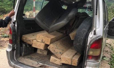 Tin thời sự mới nóng nhất 5/5: Truy tìm chủ nhân hai xe ô tô chở gỗ lậu ở Quảng Ngãi