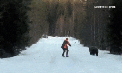 Video: Phản ứng của người đàn ông khi bị gấu tấn công khiến ai cũng bất ngờ 