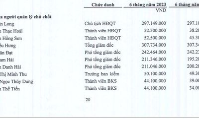 Công ty Cổ phần Cảng Nghệ Tĩnh (NAP): Lãi ròng giảm 33,8% quý II/2023