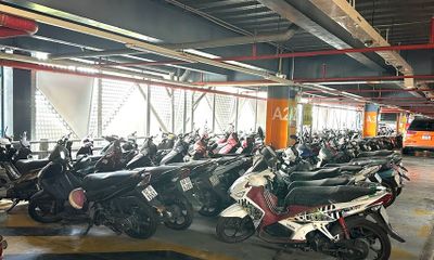 650 chiếc xe máy 