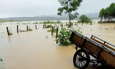 Thiệt hại do mưa lũ ở miền Trung: 1 người chết, 6 người bị thương