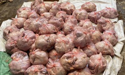 Phát hiện 3 tấn gà thối chuẩn bị bán ra thị trường Hà Nội