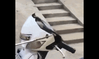Video: Rợn người cảnh rắn hổ mang lao ra khỏi đầu xe máy, tấn công người