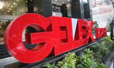 Gelex phát hành hơn 70 triệu cổ phiếu trả cổ tức