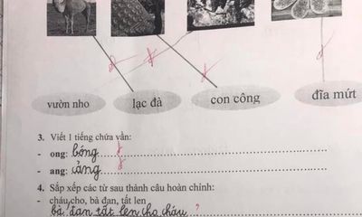 Tưởng bài tập tiếng Việt lớp 1 đơn giản, đáp án của giáo viên khiến phụ huynh hoang mang
