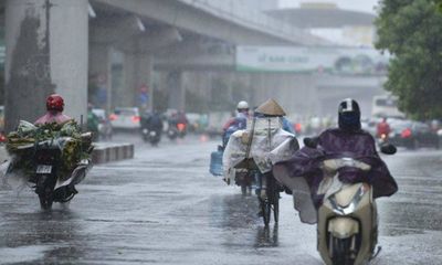 Cảnh báo mưa rét, lốc sét ở Bắc Bộ và Thanh Hóa