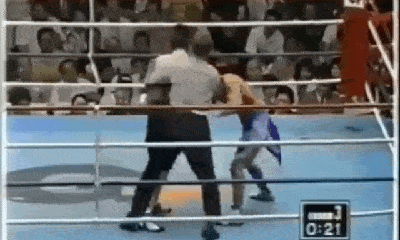 Video: Tung chiêu mà không quan sát, võ sĩ hạ knock-out nhầm trọng tài