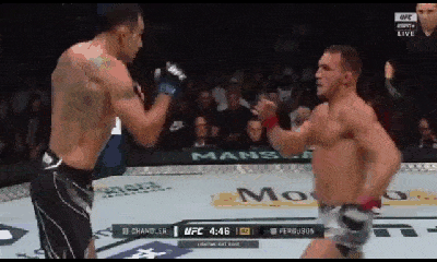 Video - Video: Dính đòn knock out, võ sĩ MMA bị biến dạng mặt