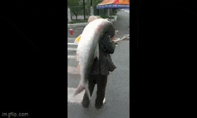 Video: Người đàn ông vác cá 
