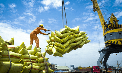 Chiến lược xuất khẩu gạo Việt Nam đến năm 2030: Giảm khối lượng, nâng cao chất lượng
