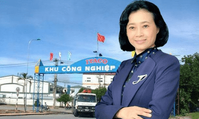 Bà Đặng Thị Hoàng Yến không còn là người đại diện pháp luật của Tân Tạo (ITA)