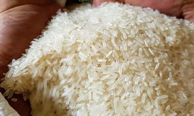 Lệnh cấm xuất khẩu gạo tẻ của Ấn Độ có hiệu lực, doanh nghiệp Việt cần làm ngay điều này 