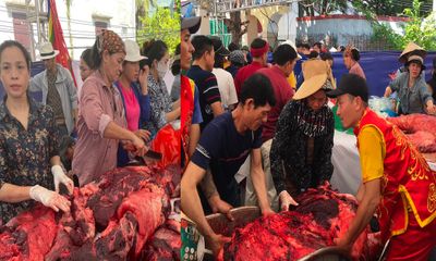 Thị trường - Thịt trâu chọi Đồ Sơn 2023 giá 3,5 triệu/kg, du khách tranh nhau mua