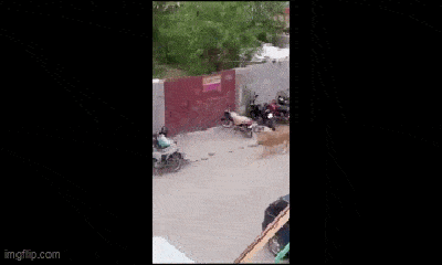 Video: Thót tim chứng kiến sư tử cái tấn công người đàn ông trên phố