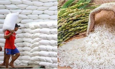 Nghịch lý gạo xuất khẩu 