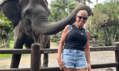 Nữ du khách gặp chuyện kinh hoàng khi đến gần voi để chụp ảnh