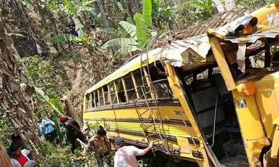 Xe buýt lao xuống khe núi sâu 50m, 6 người thiệt mạng vì bị ong sát thủ tấn công