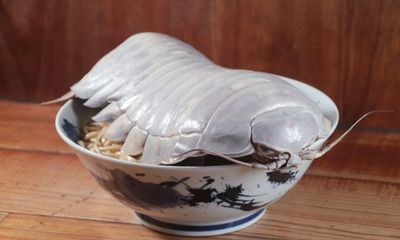 Món mì ramen bọ biển thu hút thực khách nhưng không phải ai cũng dám thử 