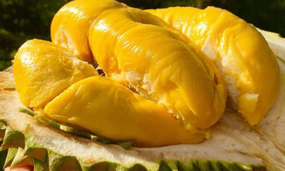 Đừng ăn sầu riêng nếu bạn thuộc 7 nhóm người này