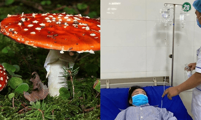 6 người trong một gia đình cấp cứu vì ngộ độc nấm