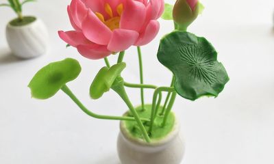 Những chất liệu đơn giản để tự làm hoa sen độc lạ