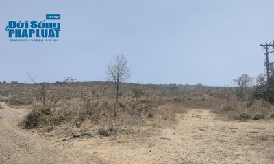 Xã hội - H’Bông (Chư Sê, Gia Lai): Cần làm rõ việc hủy hoại hơn 34 ha rừng phòng hộ