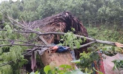 Yên Bái: Dông lốc khiến hơn 200 ngôi nhà bị tốc mái, 1 người mất tích