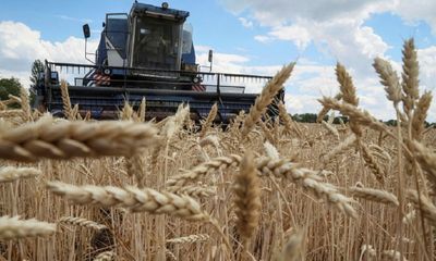 Sẽ còn 3 quốc gia EU tiếp tục gia hạn lệnh cấm nhập khẩu ngũ cốc của Ukraine