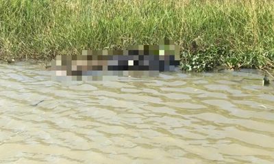 Bàng hoàng phát hiện thi thể nữ giới đã phân hủy nổi trên sông Sêrêpốk