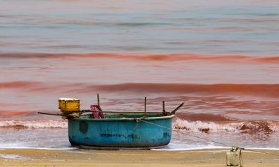 Nguyên nhân hiện tượng nước biển chuyển màu đỏ ở Hà Tĩnh